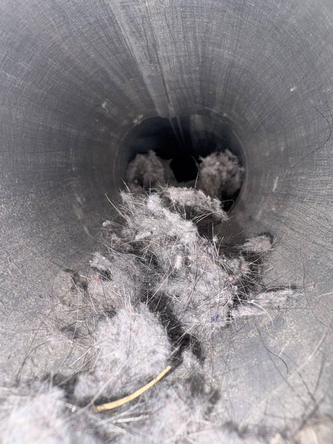 Dryer vent clogged with lint and pet hair before cleaning